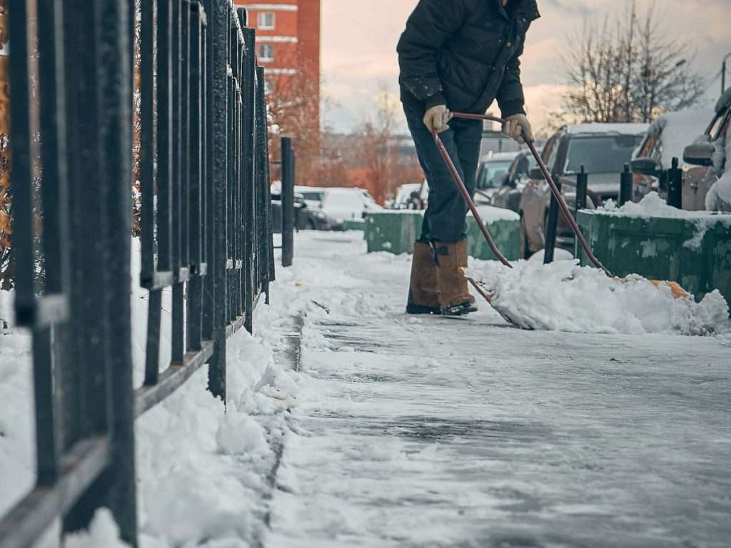 Snow Clearing - Lawn + Snow Butler